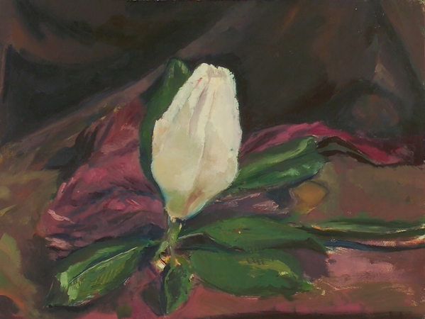 saeed marefat-still life magnolia